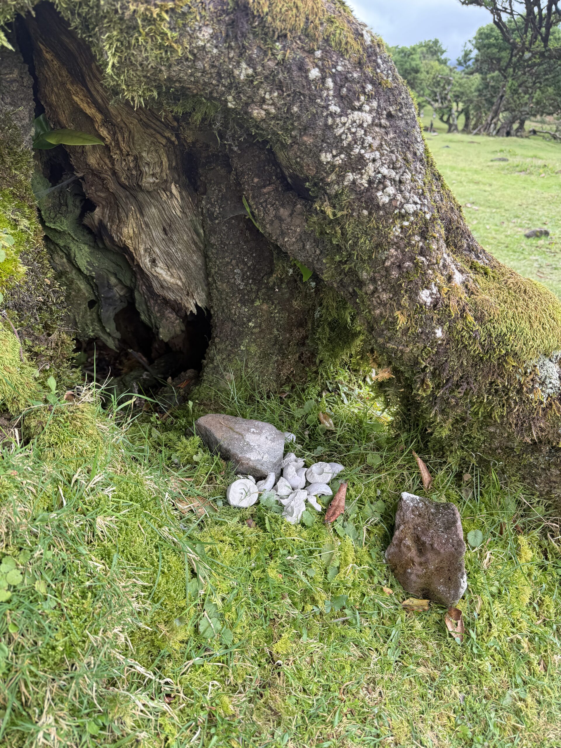 LARP Zubehör, magische Schätze, handgemachte Artefakte, Wunderfunkel Edelstein, Naturmagie, Fantasy Requisite, Zauberwald, Ritualobjekt, mystisches Licht, Alchemie Symbol, Mittelalter Fantasy, magischer Talisman, handgefertigter Schatz LARP Zubehör, magische Schätze, handgemachte Artefakte, Wunderfunkel Edelstein, Naturmagie, Fantasy Requisite, Zauberwald, Ritualobjekt, mystisches Licht, Alchemie Symbol, Mittelalter Fantasy, magischer Talisman, handgefertigter Schatz