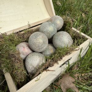 Magische Schatzsuche für Mädchen mit Wunderfunkeln, Schatzkiste und echten Edelsteinen