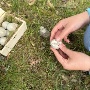 10 Wunderfunkel mit echten Edelsteinen in Schatzkiste für nachhaltige Schatzsuche