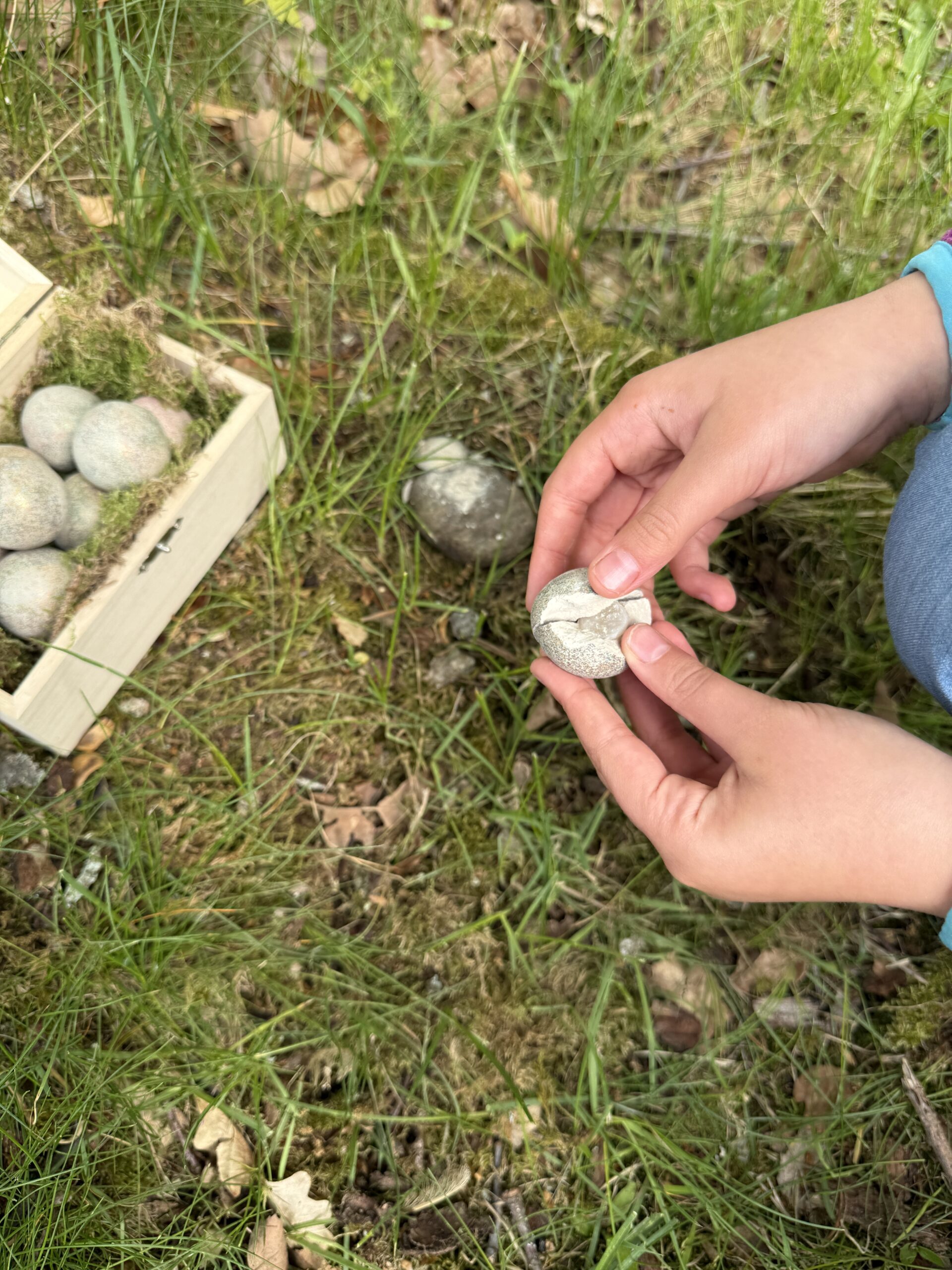 10 Wunderfunkel mit echten Edelsteinen in Schatzkiste für nachhaltige Schatzsuche 10 Wunderfunkel mit echten Edelsteinen in Schatzkiste für nachhaltige Schatzsuche