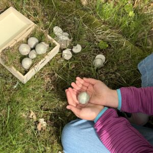 Schatzsuche Set Kindergeburtstag Nachhaltige Wunderfunkel aus Naturmaterial mit pflanzlichem Glitzer und Edelsteinen