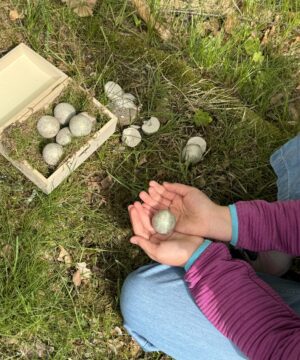 Schatzsuche Set Kindergeburtstag Nachhaltige Wunderfunkel aus Naturmaterial mit pflanzlichem Glitzer und Edelsteinen