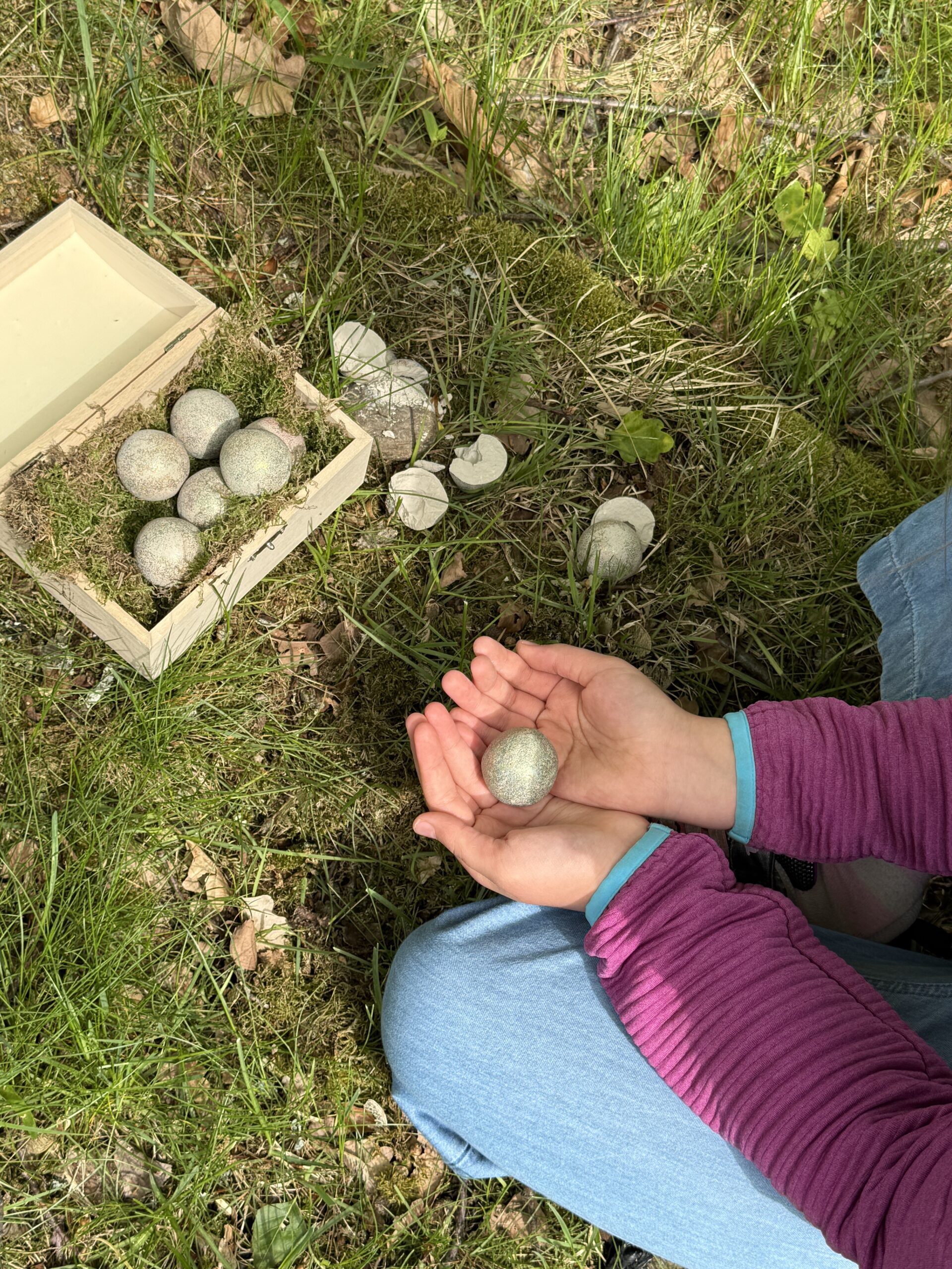 Nachhaltige Wunderfunkel aus Naturmaterial mit pflanzlichem Glitzer und Edelsteinen Schatzsuche Set Kindergeburtstag Nachhaltige Wunderfunkel aus Naturmaterial mit pflanzlichem Glitzer und Edelsteinen