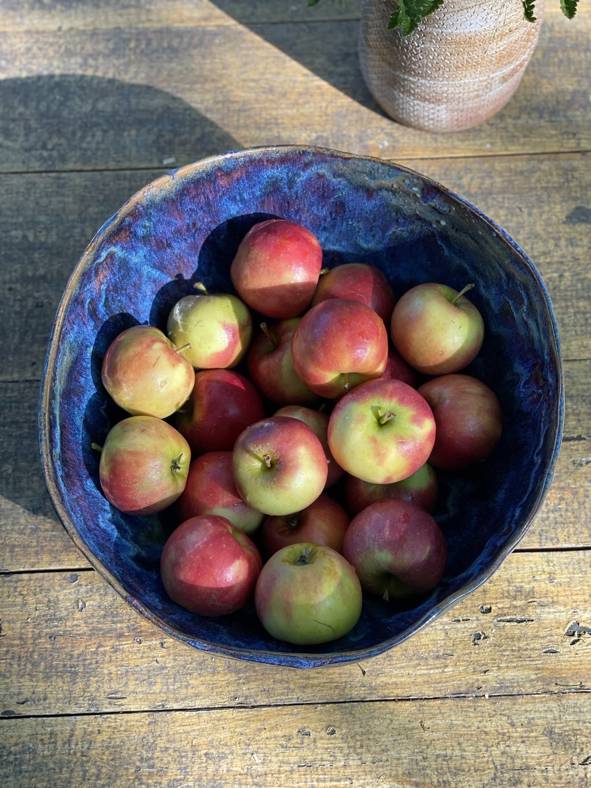 große Obstschale Keramik